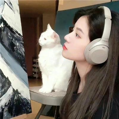 手机风云